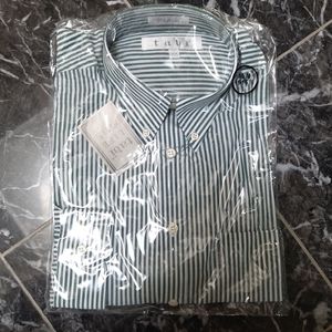💚 2/$35 NWT Tabi long sleeve dress shirt - green white stripes